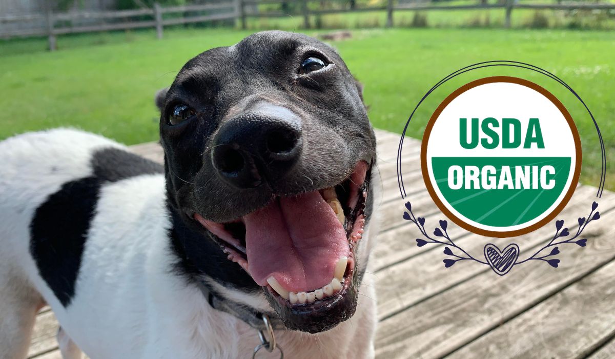The Only USDA Organic Certified Functional Dog Treat
