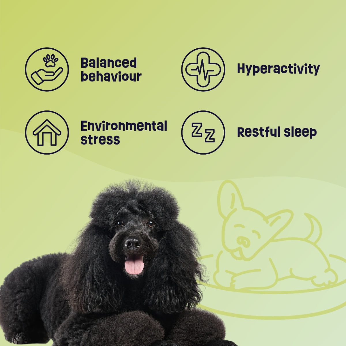 Gruffies Calming - Organic Dog Treats (6-Pack)