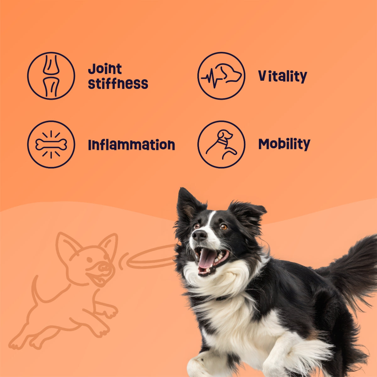 Gruffies Joint & Hip - Organic Dog Treats (6-Pack)