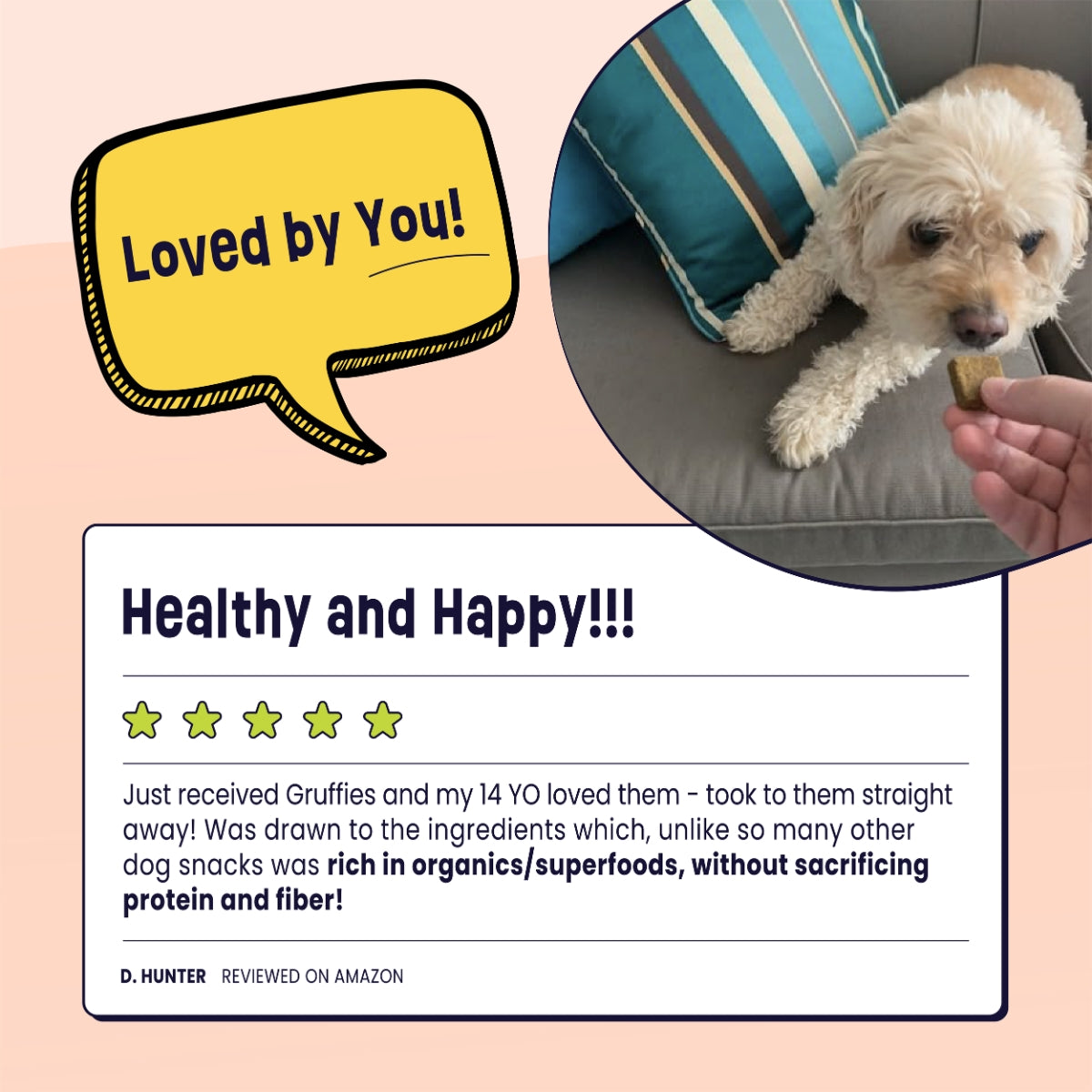 Gruffies Joint & Hip - Organic Dog Treats (6-Pack)