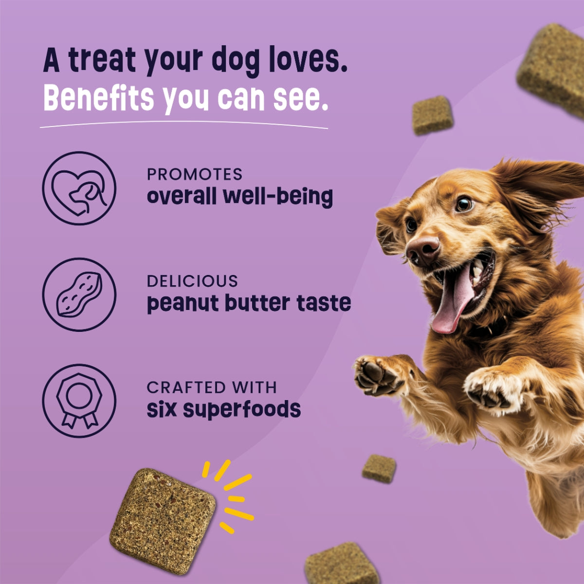 Gruffies Original - Organic Dog Treats (6-Pack)