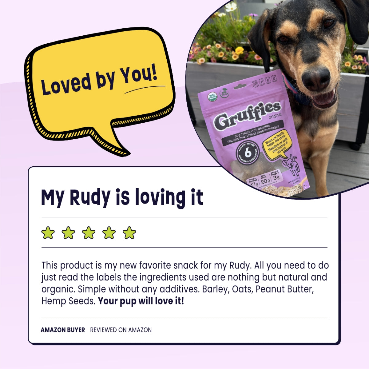 Gruffies Original - Organic Dog Treats (6-Pack)