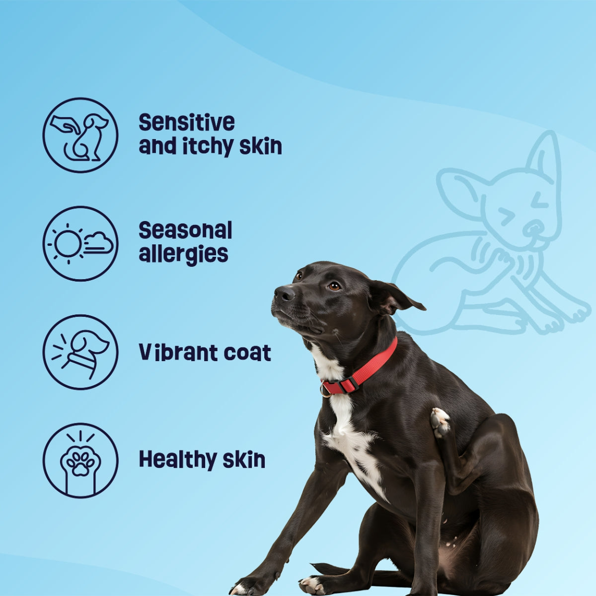 Gruffies Skin & Coat - Organic Dog Treats (6-Pack)