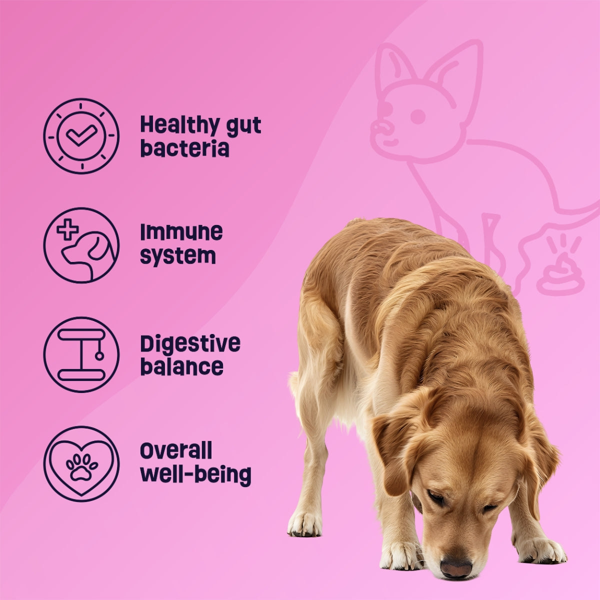 Gruffies Gut Health - Organic Dog Treats (6-Pack)